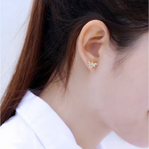 Pin with zircon earrings